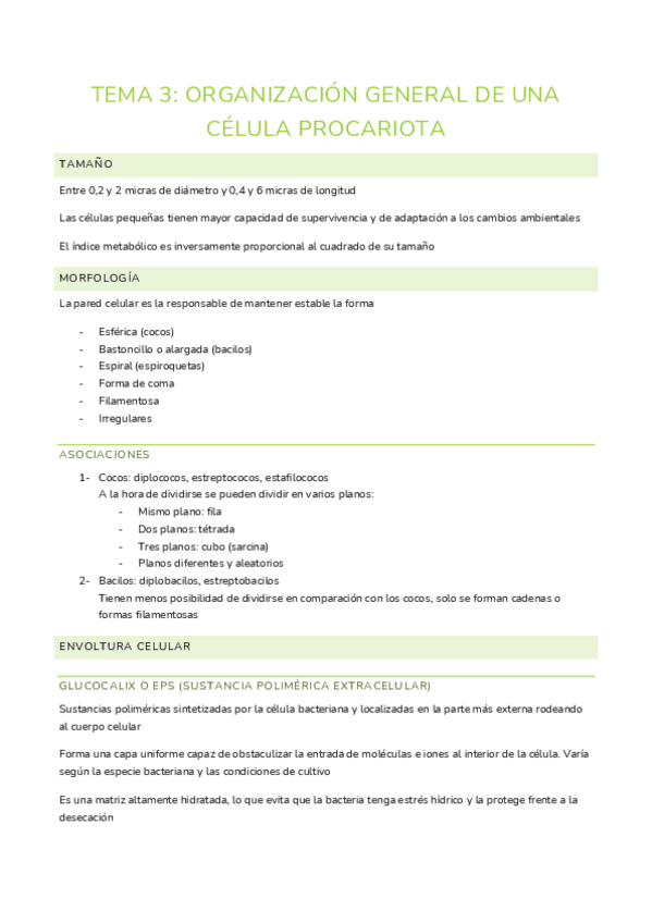 Miniatura del documento tema 3: organización general de una célula procariota.pdf