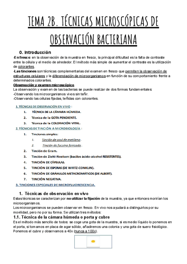 Miniatura del documento TEMA-2B.-TECNICAS-MICROSCOPICAS-DE-OBSERVACION-BACTERIANA.pdf