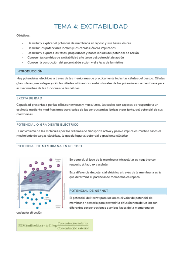 Miniatura del documento tema 4: excitabilidad.pdf