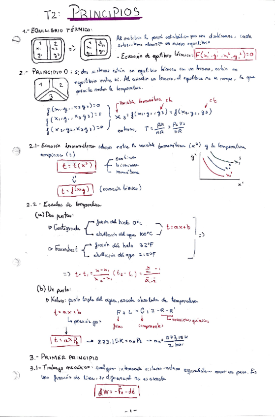 Miniatura del documento T2-Principios.pdf