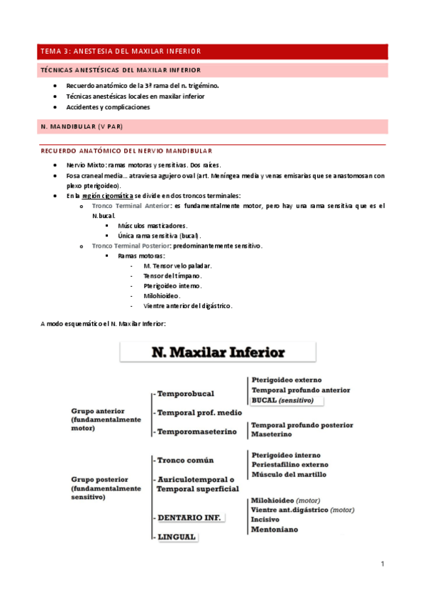 Miniatura del documento Tema-3.pdf