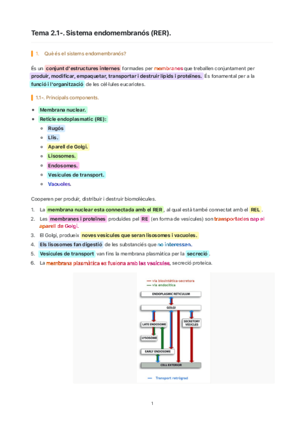 Miniatura del documento Tema-2.1-.-Sistema-endomembranos-RER..pdf