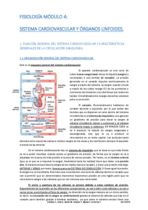 Miniatura del documento APUNTES FISIOLOGÍA MÓDULO 4.pdf