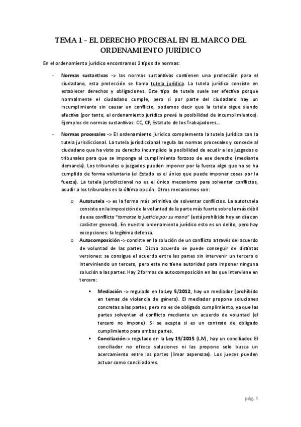 Miniatura del documento Tema-1-Procesal.pdf