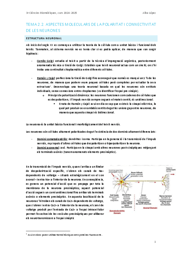 Miniatura del documento Tema-2.2.-Neurones-aspectes-moleculars-de-la-polaritat-i-connectivitat-neuronal.pdf