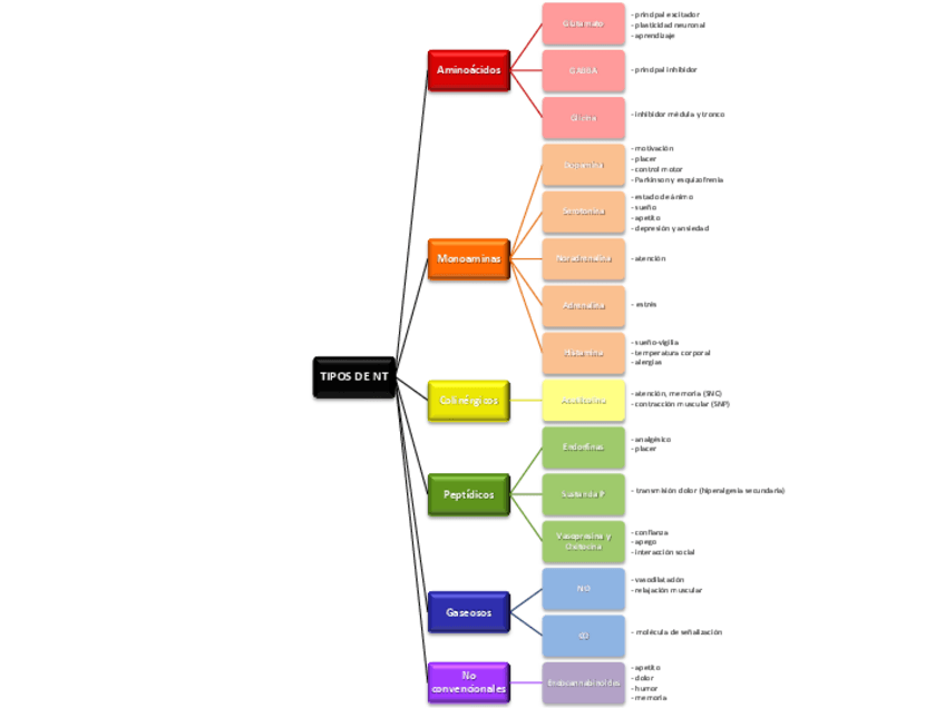 Miniatura del documento tipos-de-neurotransmisores-con-funciones.pdf