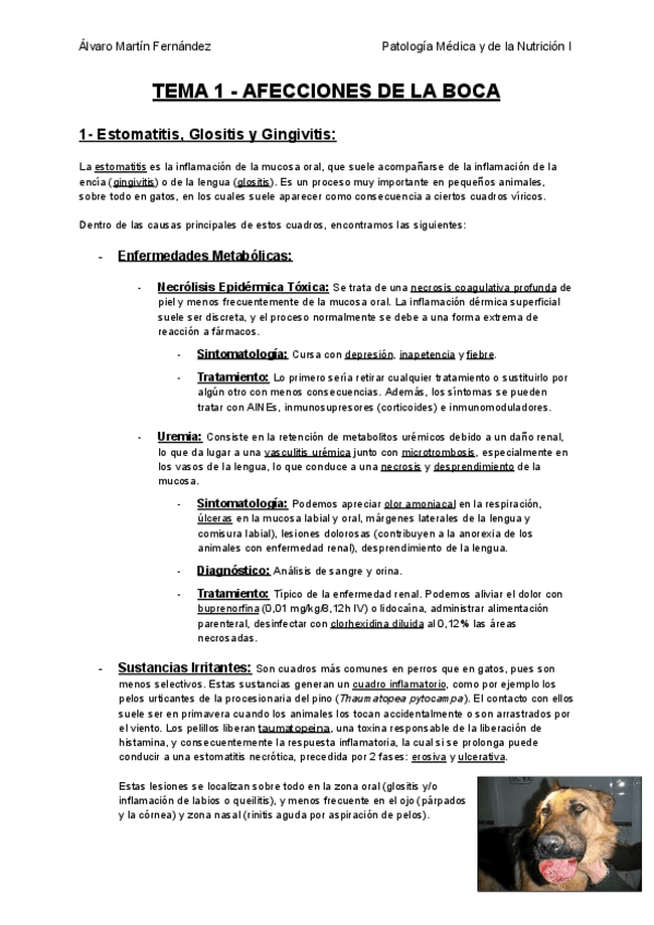 Miniatura del documento TEMA-1-AFECCIONES-DE-LA-BOCA.pdf