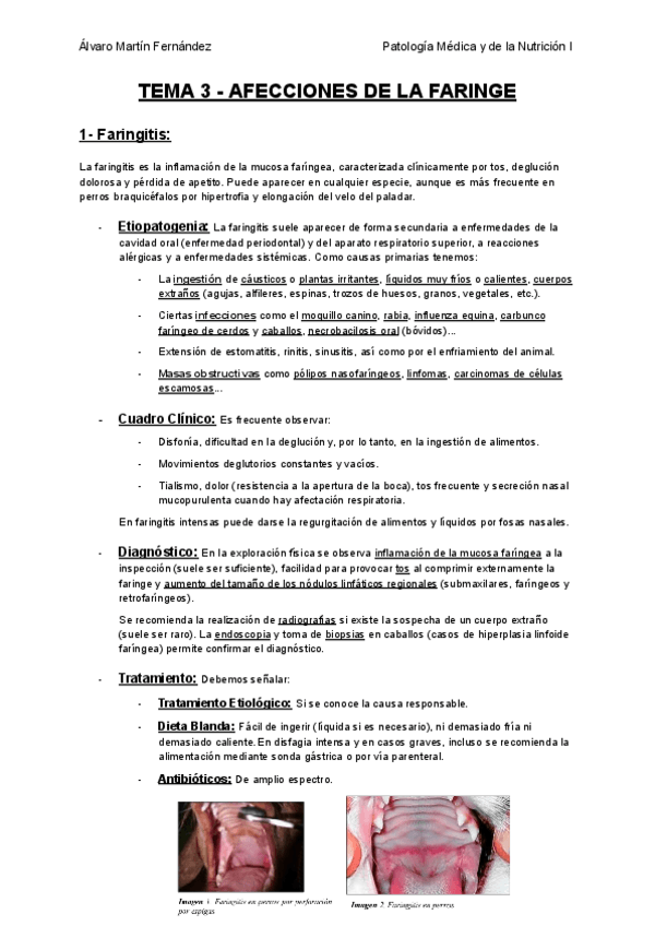 Miniatura del documento TEMA-3-AFECCIONES-DE-LA-FARINGE.pdf