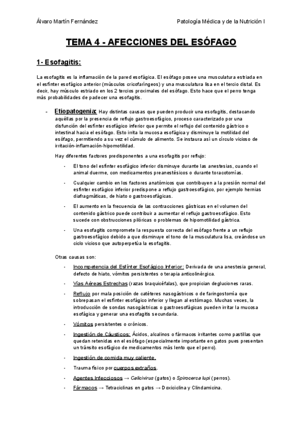 Miniatura del documento TEMA-4-AFECCIONES-DEL-ESOFAGO.pdf