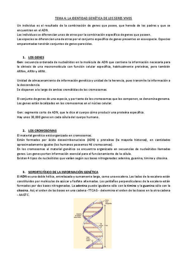 Miniatura del documento TEMA-4.pdf