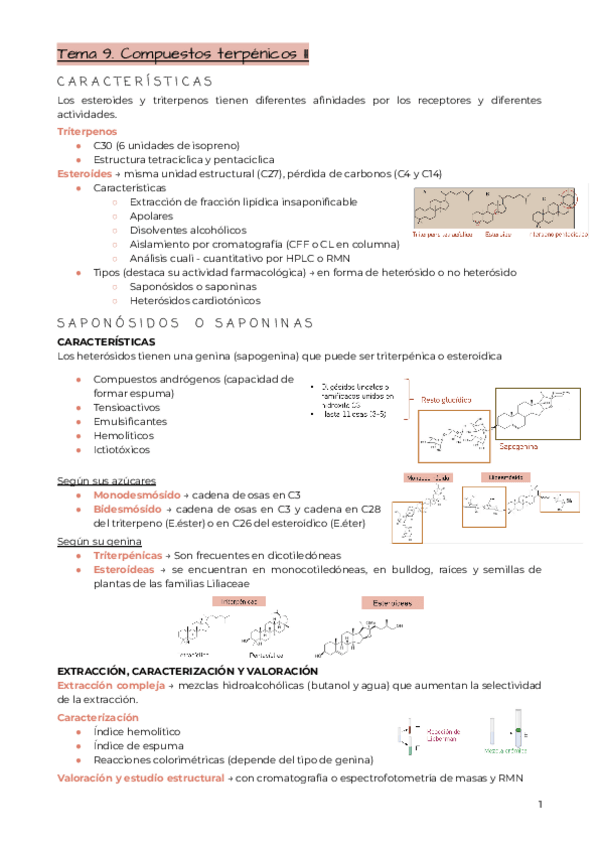 Miniatura del documento Tema-9.-Compuestos-terpenicos-II.pdf