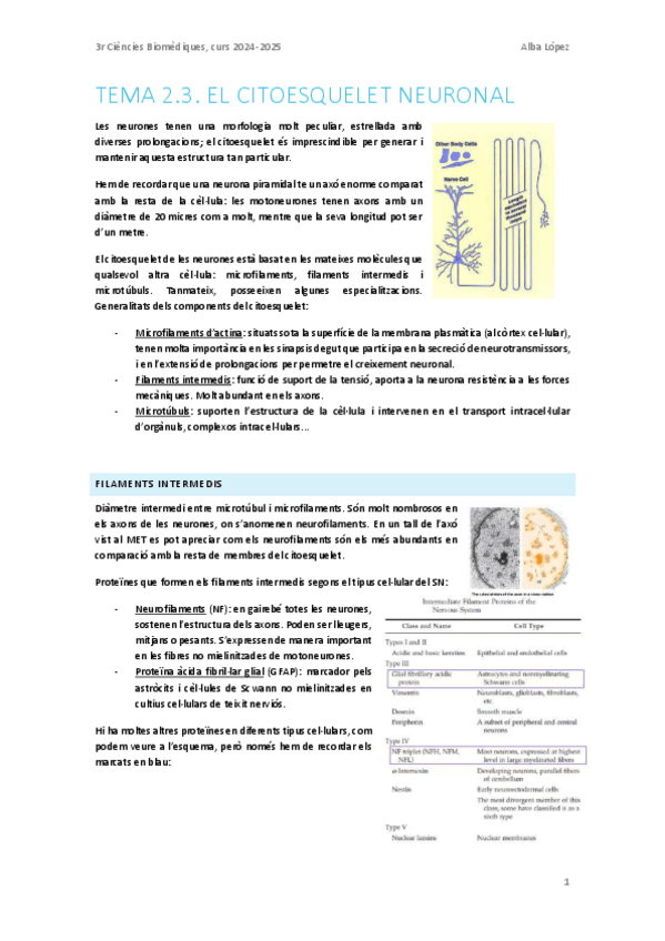 Miniatura del documento Tema-2.3.-Citoesquelet-neuronal.pdf