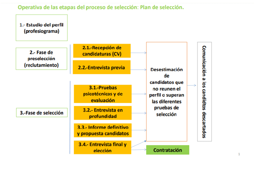 Miniatura del documento plan-de-seleccion.pdf