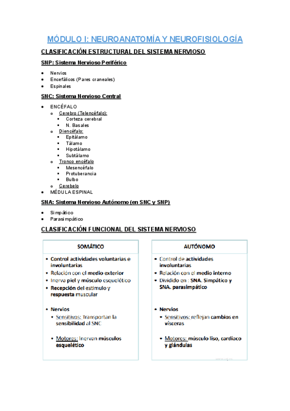 Miniatura del documento MODULO-I.-NEUROANATOMIA-Y-FISIOLOGIA.pdf
