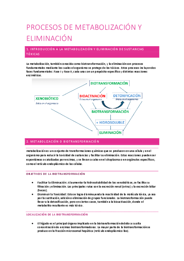 Miniatura del documento PROCESOS-DE-METABOLIZACION-Y-ELIMINACION.pdf