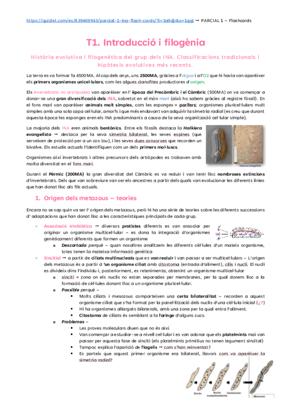 Miniatura del documento T1.-Introduccio-i-filogenia.pdf