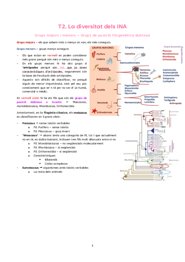 Miniatura del documento T2.-La-diversitat-dels-INA.pdf