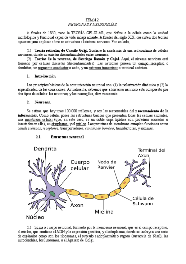 Miniatura del documento TEMA 2 REDACTADO + APUNTES.pdf