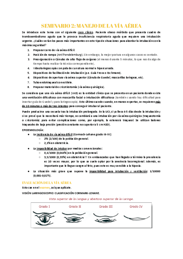 Miniatura del documento Seminario-2-Manejo-de-la-via-aerea.pdf