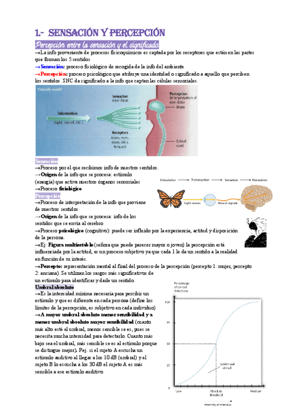 Miniatura del documento 1.-Sensacion-y-percepcion.pdf