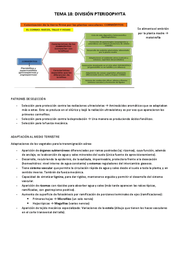 Miniatura del documento TEMA-18.pdf