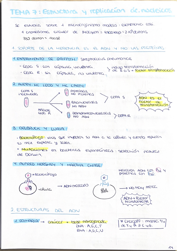 Miniatura del documento Apuntes-parcial-1-parte-2-micro-I.pdf
