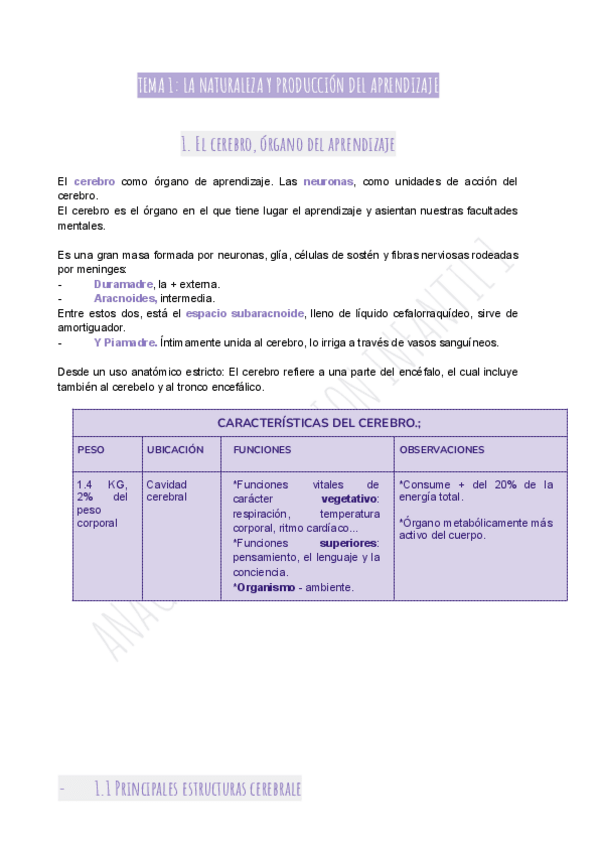 Miniatura del documento TEMA-1-LA-NATURALEZA-Y-PRODUCCION-DEL-APRENDIZAJE-2.pdf