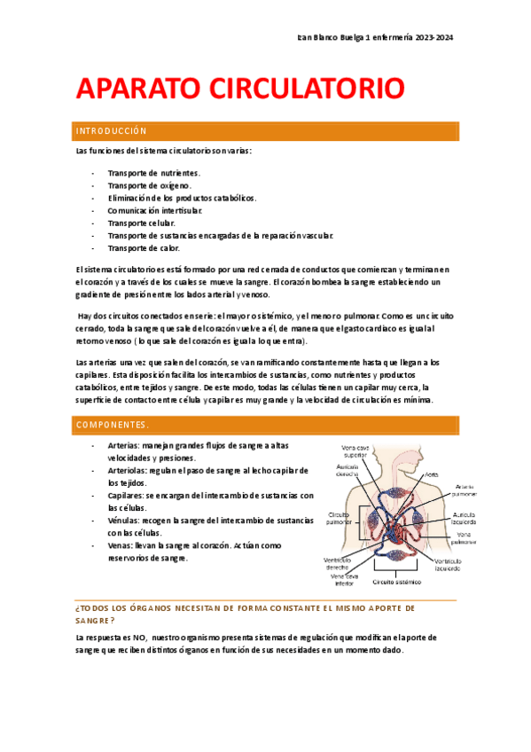 Miniatura del documento Circulatorio.pdf