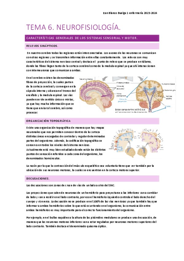 Miniatura del documento Tema-6-nervioso.pdf