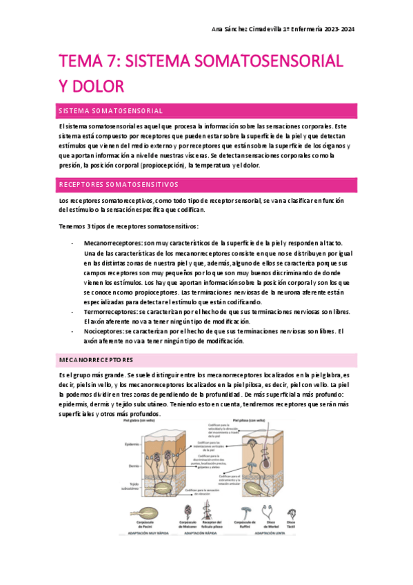 Miniatura del documento TEMA-7-nervioso.pdf