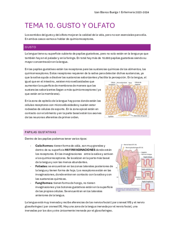 Miniatura del documento tema-10-nervioso.pdf