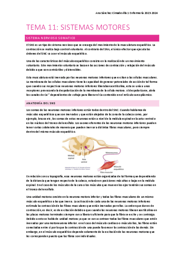 Miniatura del documento TEMA-11-nervioso.pdf
