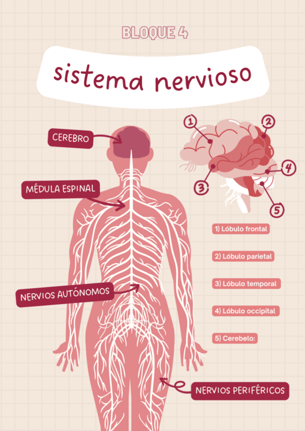 Miniatura del documento BLOQUE-NEUROLOGIA.pdf