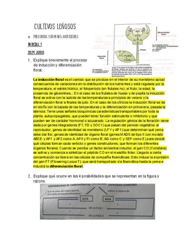 Miniatura del documento TODAS-LAS-PREGUNTAS-DE-ANOS-ANTERIORES-JUNTAS.pdf