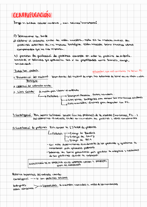Miniatura del documento PARTE 2. TODO-bioquimica-con-ejercicios-examenes-teoria-y-explicaciones.pdf