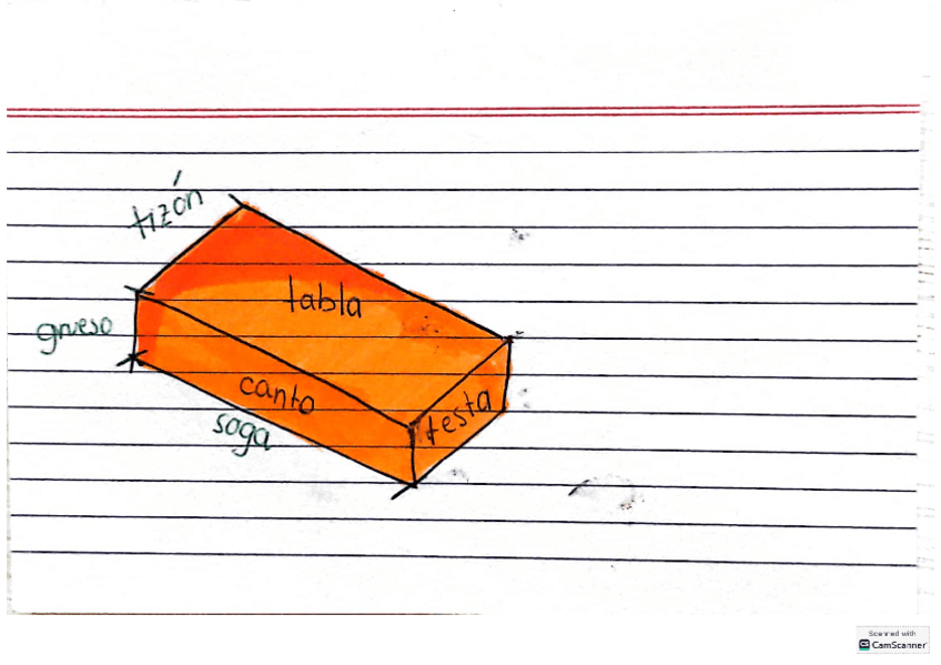 Miniatura del documento CONCEPTES-EXAMEN.pdf