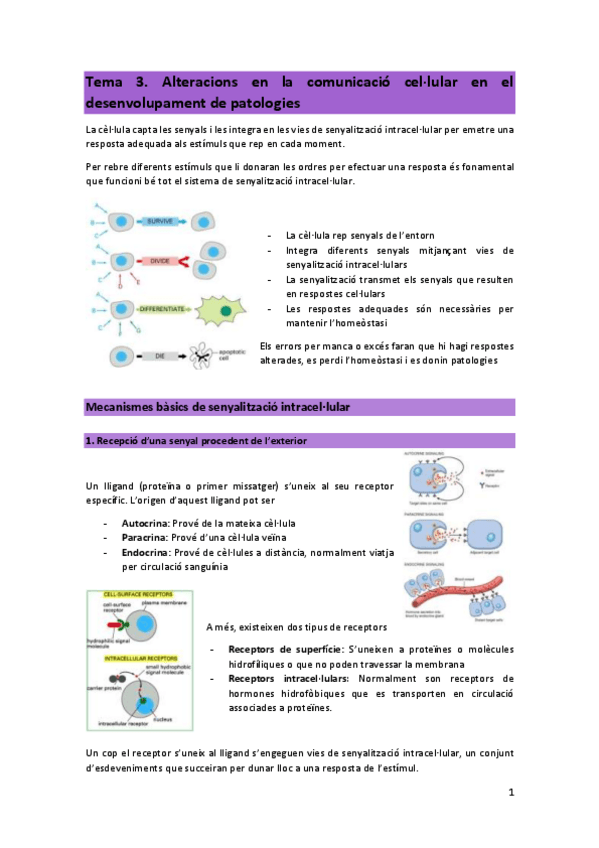 Miniatura del documento T3-PCM.pdf