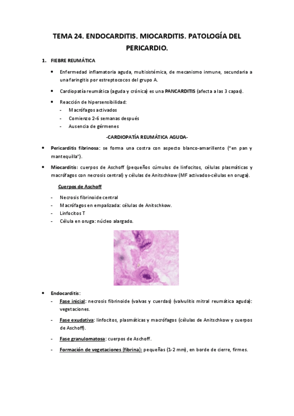 Miniatura del documento Tema 24.pdf