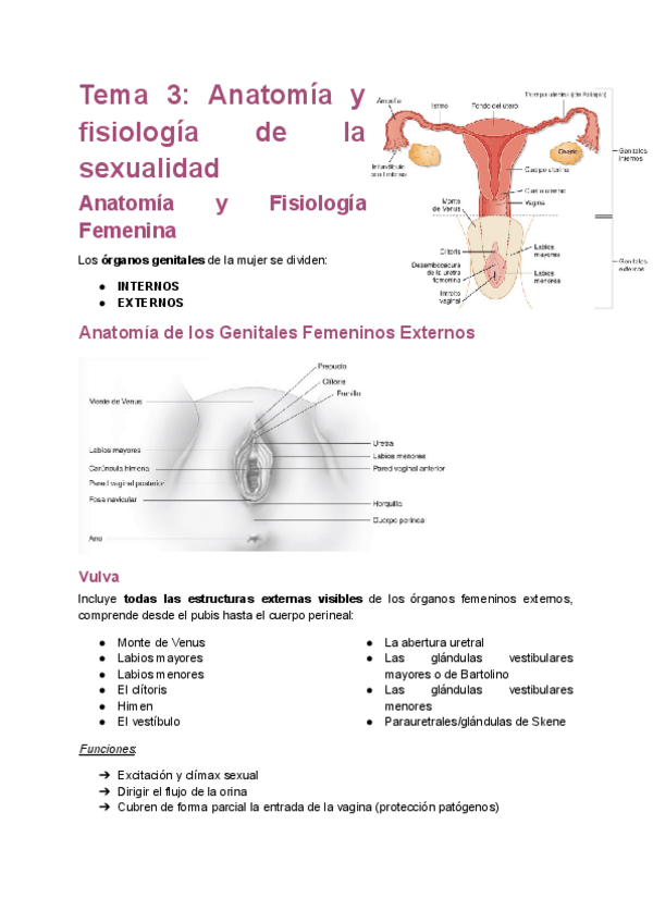 Miniatura del documento TEMA-3.pdf