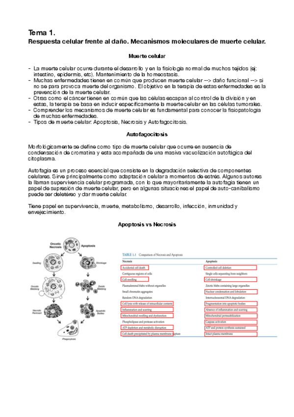 Miniatura del documento TEMA-1.pdf