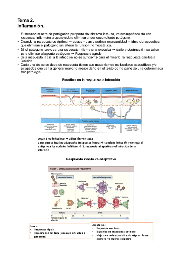 Miniatura del documento TEMA-2.pdf