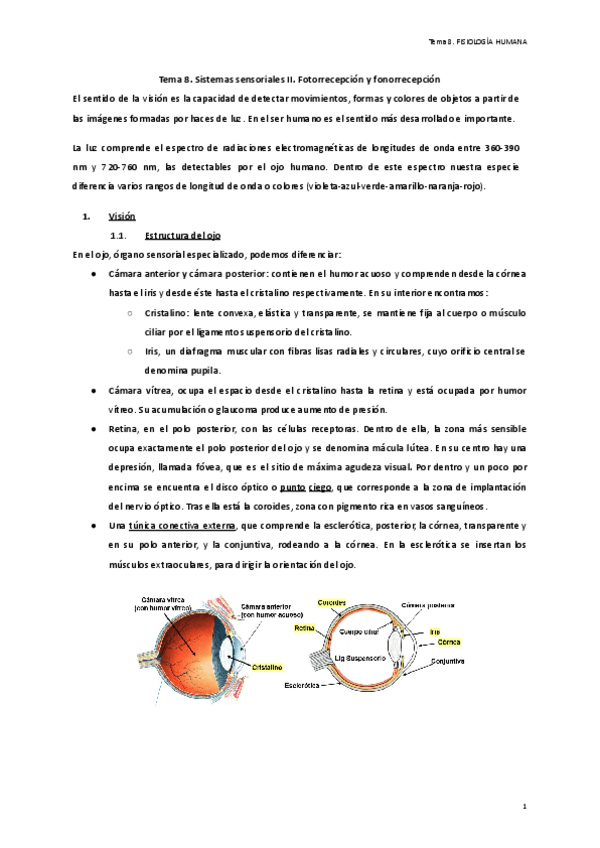 Miniatura del documento Tema-8.-Sistemas-sensioriales-II..pdf