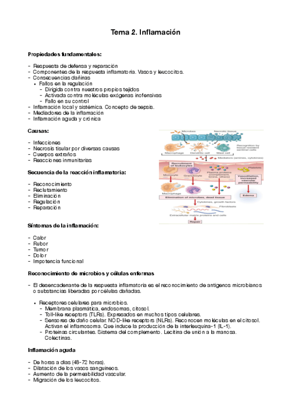 Miniatura del documento TEMA-2.pdf