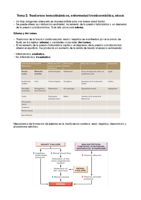 Miniatura del documento TEMA-3.pdf