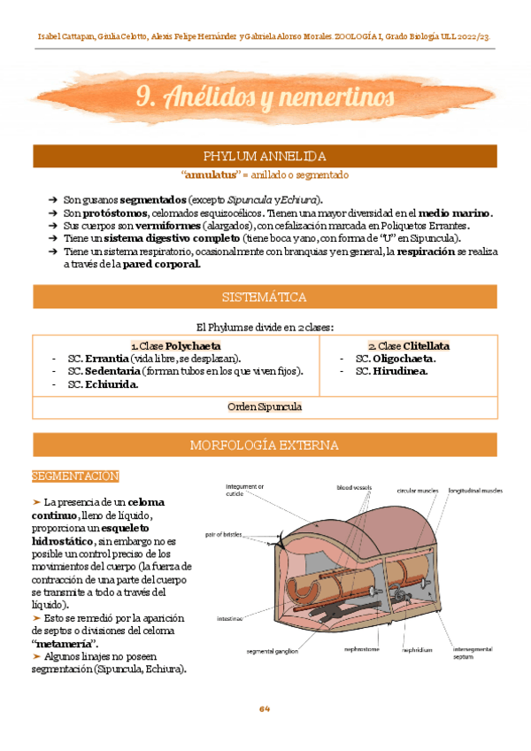 Miniatura del documento ZOO-I-9.pdf