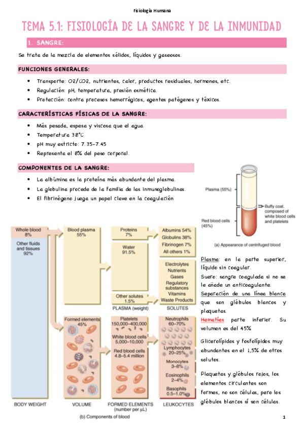 Miniatura del documento T5.1-Fisiologia-de-la-sangre-Eritrocitos.pdf