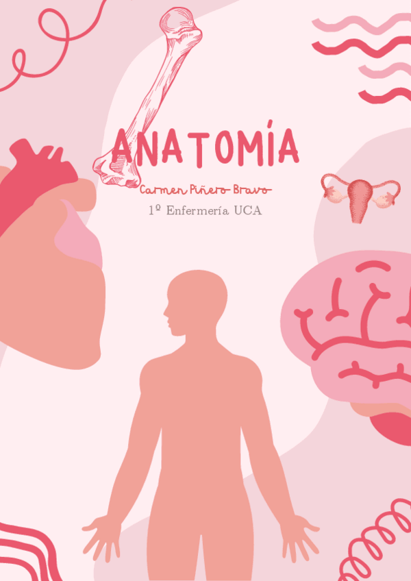 Miniatura del documento Apuntes-Anatomia-Completo.pdf