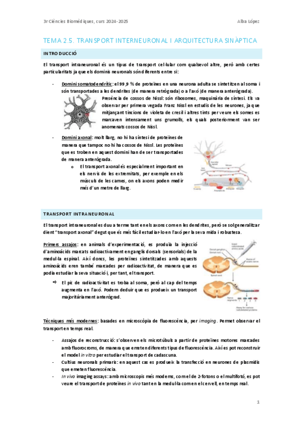 Miniatura del documento Tema-2.5.-Transport-interneuronal-i-arquitectura-sinaptica.pdf