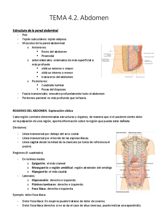 Miniatura del documento TEMA 4.2.pdf