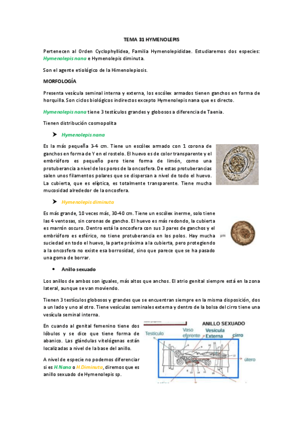 Miniatura del documento TEMA 31.pdf